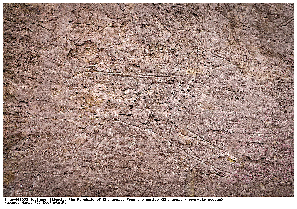 ����� ������, ���������, �������, �������,  ���������� �������, ����������, �������, �����, �������, �����, ���������, ��������� ��������, ��������� ����������� �����, ���