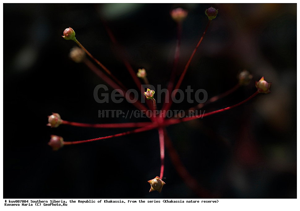  ����� ������, ����������,  ���������� �������, ����������, ���������, �������, �����, �����, ��������������, ��������, ��������� ����������� �����, ���