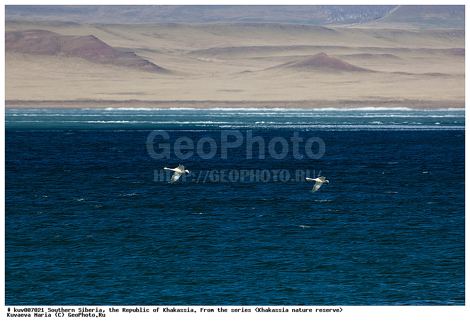  ����� ������, ����������,  ���������� �������, ����������, �������, �����, ������, ����, ����, ����� ���, �����, ���, ��������� ����������� �����, ���