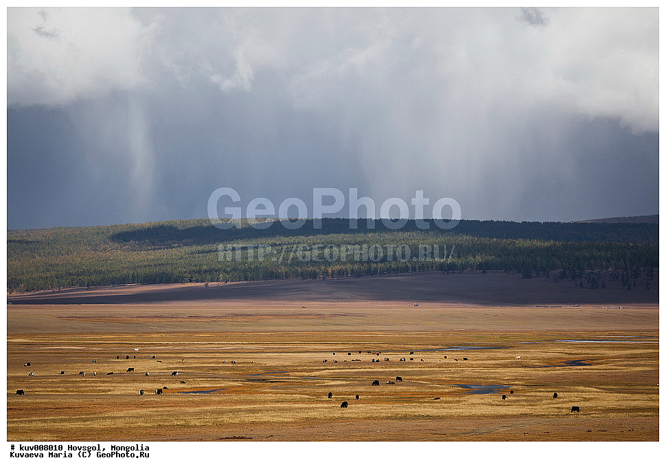 ��������, �����, ��������, �������, ������������� ������������ ����, �����, ��������, �����, �����, ���, ��������, ��������, ����, ����, ������, �������� ����, ����������� ������, ������������� ������������ ����, �������� ��������