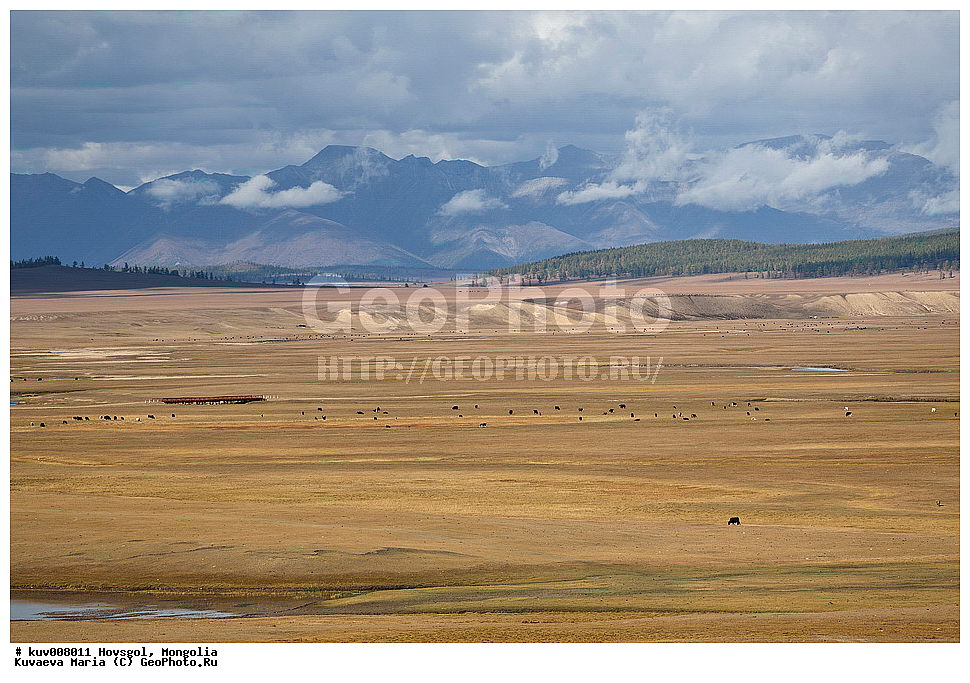 ��������, �����, ��������, �������, ������������� ������������ ����, �����, ��������, �����, �����, ���, �����, ������, ����, �����, �����-������, �������� ����, �ө�� �������, ����������� ������, ������������� ������������ ����, �������� ��������