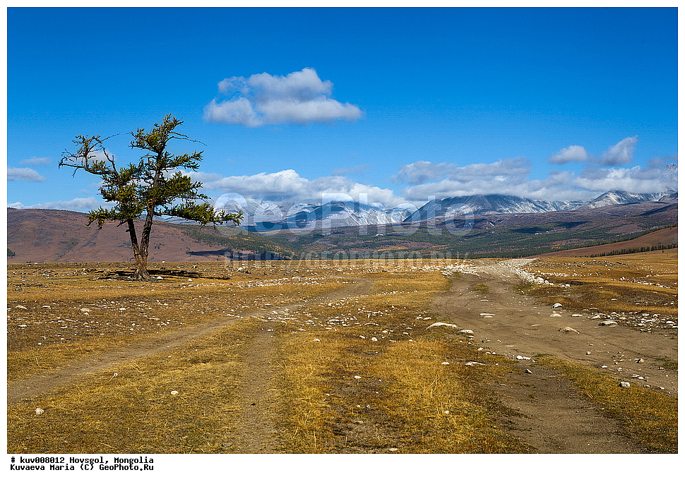 ��������, �����, ��������, �������, ������������� ������������ ����, �����, ��������, �������� �����, �����������, ������, ������, ����, �����-������, ������, �������� ����, �ө�� �������, ����������� ������, ������������� ������������ ����, �������� ��������