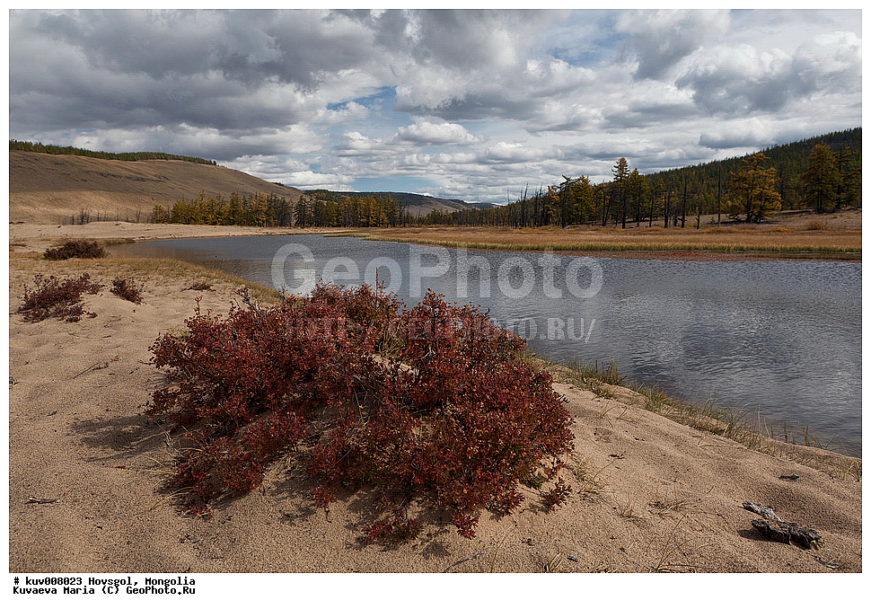 ��������, �����, ��������, �������, ������������� ������������ ����, �����, ��������, ����, ���������, �����, �������� ����, �������� ����, ����������� ������, ������������� ������������ ����, �������� ��������