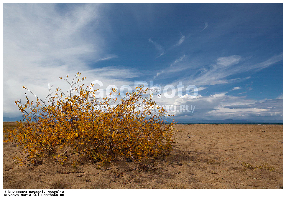 ��������, ��������, �����, �������, ������������� ������������ ����, �����, ��������, ��� ����������, ����, ������, �����, �������� ����, �������� ����, �ө���ө�, ����������� ������, ������������� ������������ ����, �������� ��������