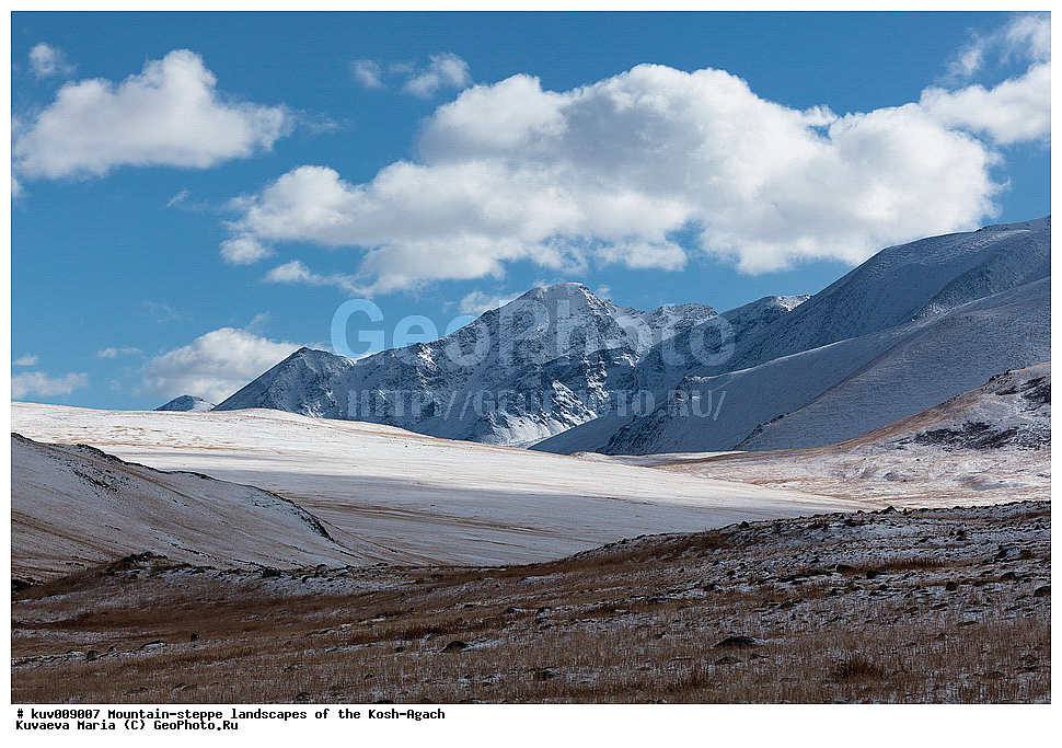 ����, �����, �������, ���-����, ���-�������� �����, ��������, �����, �����, ����, ������, ����, ����, ������, �������, ����-������� ������, ��������� ����������� �����, ���