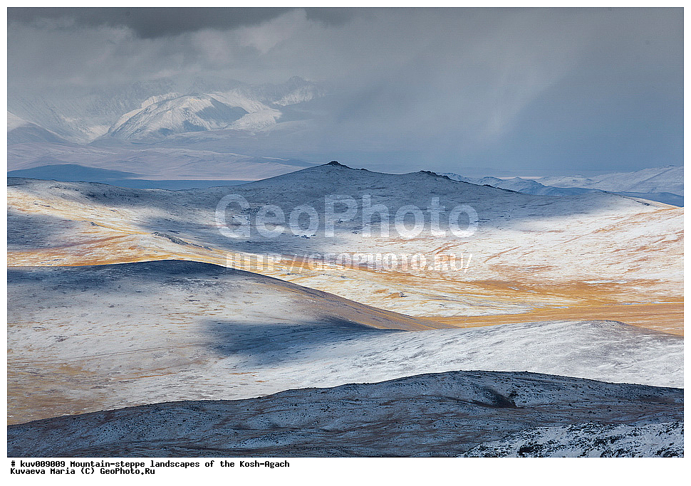 ����, �����, �������, ���-����, ���-�������� �����, ��������, �����, ������, ��������, ����, ����, �����, ��������� ����������� �����, ���