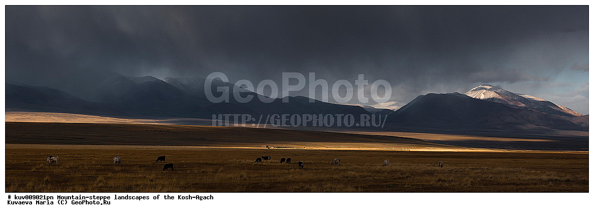 ����, �����, �������, ���-����, ���-�������� �����, ��������, �����, ������� �����, �����, ��������, ����, ������, ����, ��������, �����, ������, ��������� ������, ��������� ����������� �����, ���