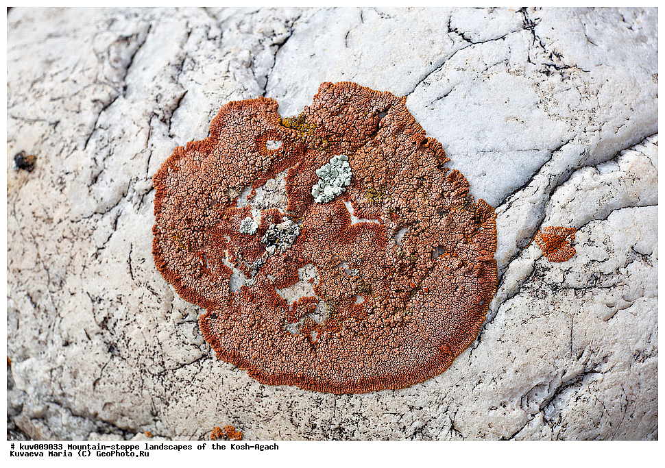 ����, �����, �������, ���-����, ���-�������� �����, ��������, �����, ������, ��������, ����� �����, �������, �����, ��������� �������, ��������� ����������� �����, ���