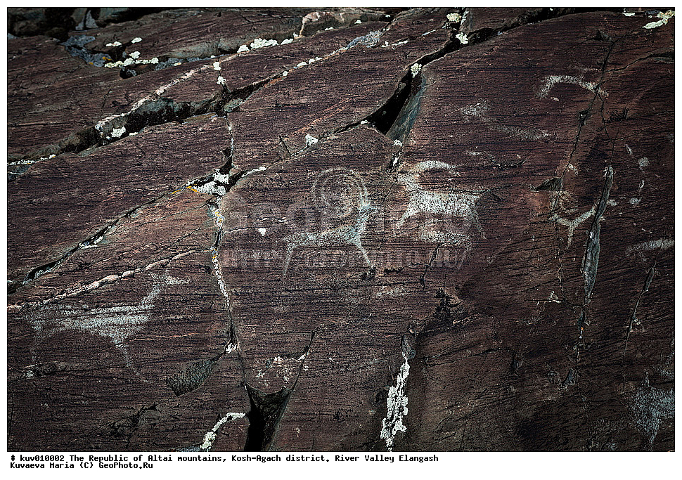 ����, ���-����, ���������� ������ �����, ���-�������� �����, �������, ����������, ���������� �����������,  ��������, ����������, �������, ���������, �����, ��������� �������, ��������, ��������� ����������� �����, ���