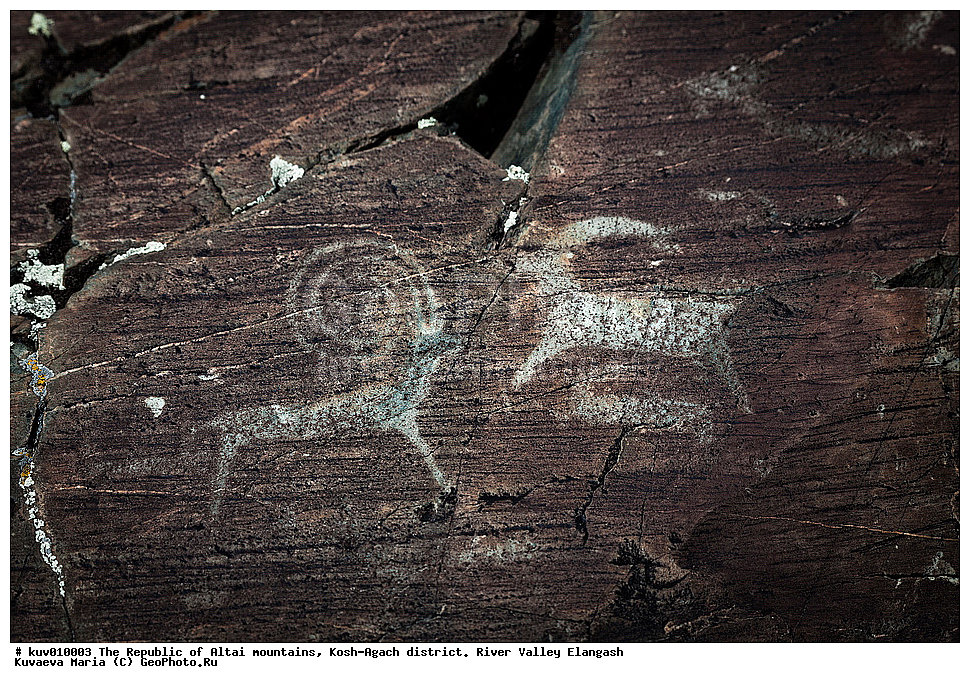 ����, ���-����, ���������� ������ �����, ���-�������� �����, �������, ����������, ���������� �����������,  ��������, ����������, �������, ���������, �����, ��������� �������, ��������, ��������� ����������� �����, ���