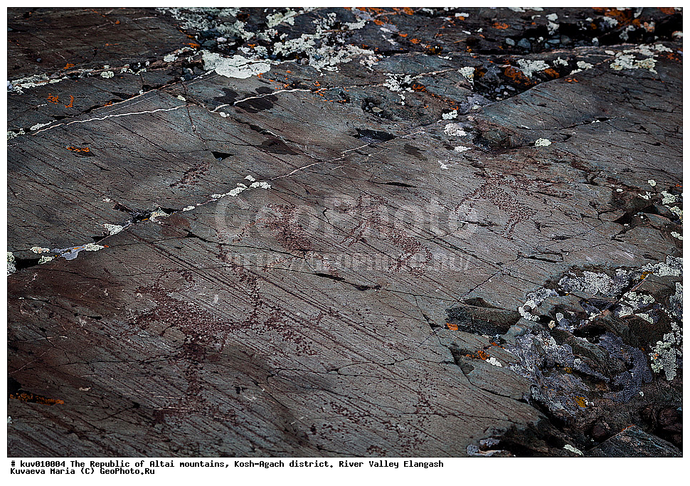 ����, ���-����, ���������� ������ �����, ���-�������� �����, �������, ����������, ���������� �����������,  ��������, ����������, �������, ���������, �����, ��������� �������, �������, ��������� ����������� �����, ���