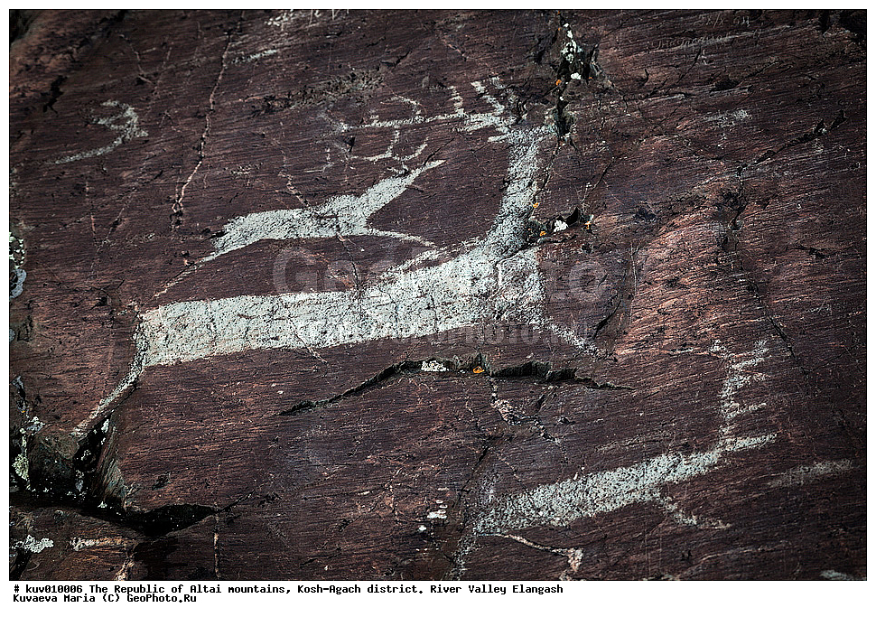 ����, ���-����, ���������� ������ �����, ���-�������� �����, �������, ����������, ���������� �����������,  ��������, ����������, �������, ���������, �����, ��������� �������, �����, ��������� ����������� �����, ���