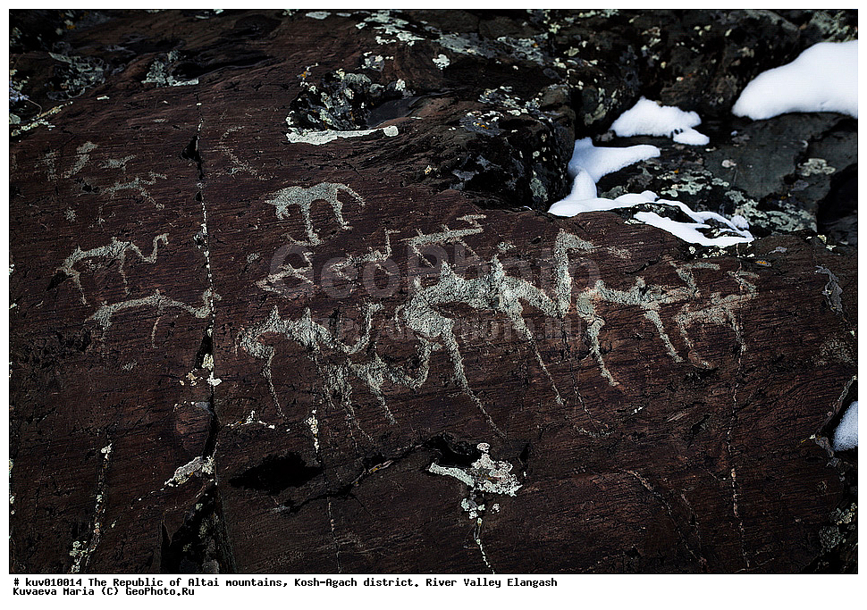 ����, ���-����, ���������� ������ �����, ���-�������� �����, �������, ����������, ���������� �����������,  ��������, ����������, �������, ���������, �����, ��������� �������, ��������, ��������� ����������� �����, ���