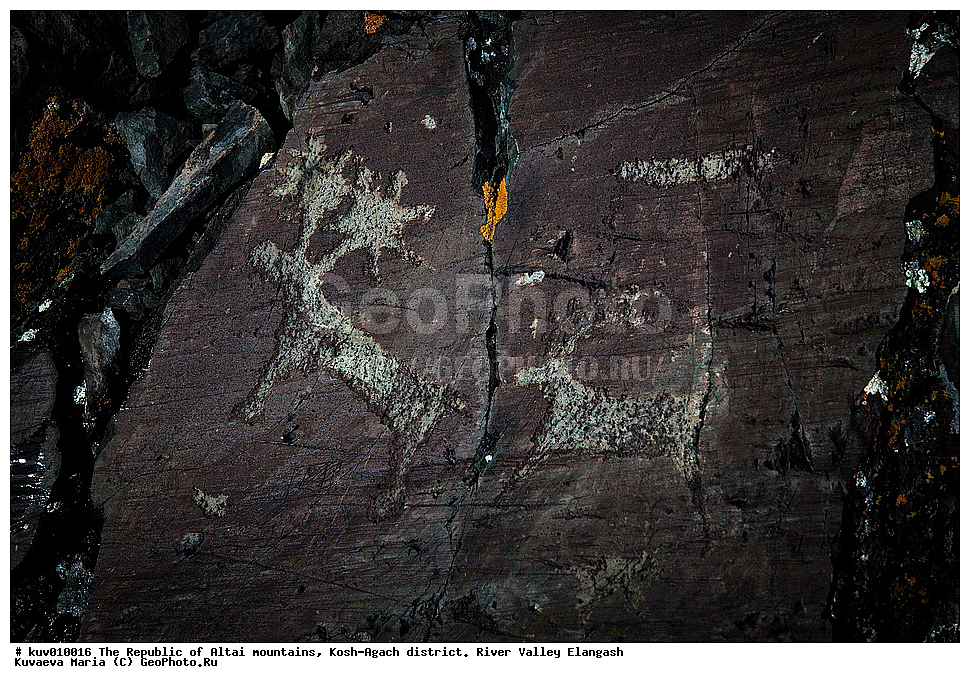 ����, ���-����, ���������� ������ �����, ���-�������� �����, �������, ����������, ���������� �����������,  ��������, ����������, �������, ���������, �����, ��������� �������, �����, ��������� ����������� �����, ���