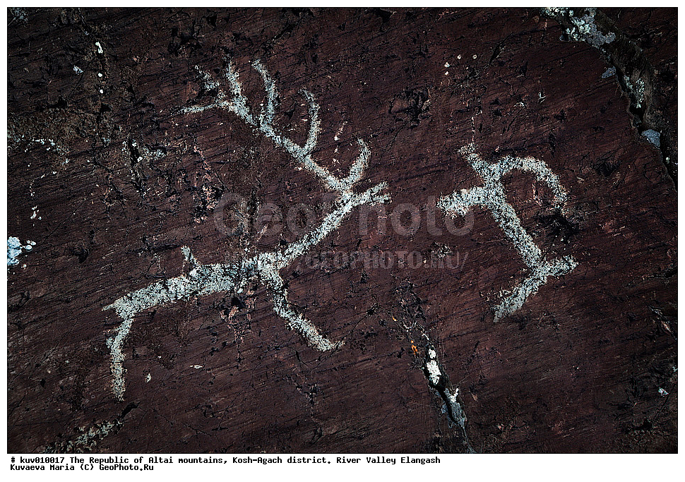 ����, ���-����, ���������� ������ �����, ���-�������� �����, �������, ����������, ���������� �����������,  ��������, ����������, �������, ���������, �����, ��������� �������, �����, �������, ��������� ����������� �����, ���