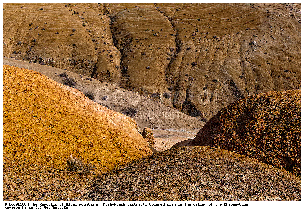 ����,  �������, ���-����, �����-����, ���������� ������ �����, ���-�������� �����, ������� �����, ������������, �������, ��������, �����, ����������� ������
, ��������� ����������� �����, ���