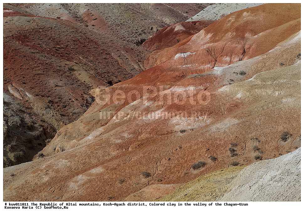 ����,  �������, ���-����, �����-����, ���������� ������ �����, ���-�������� �����, ������� �����, ������������, �������, ��������, �����, ����������� ������
, ��������� ����������� �����, ���