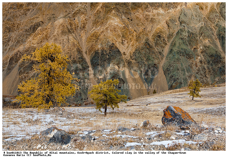 ����,  �������, ���-����, �����-����, ���������� ������ �����, ���-�������� �����, ������� �����, ������������, �������, ��������, �����, �����������
, ��������� ����������� �����, ���