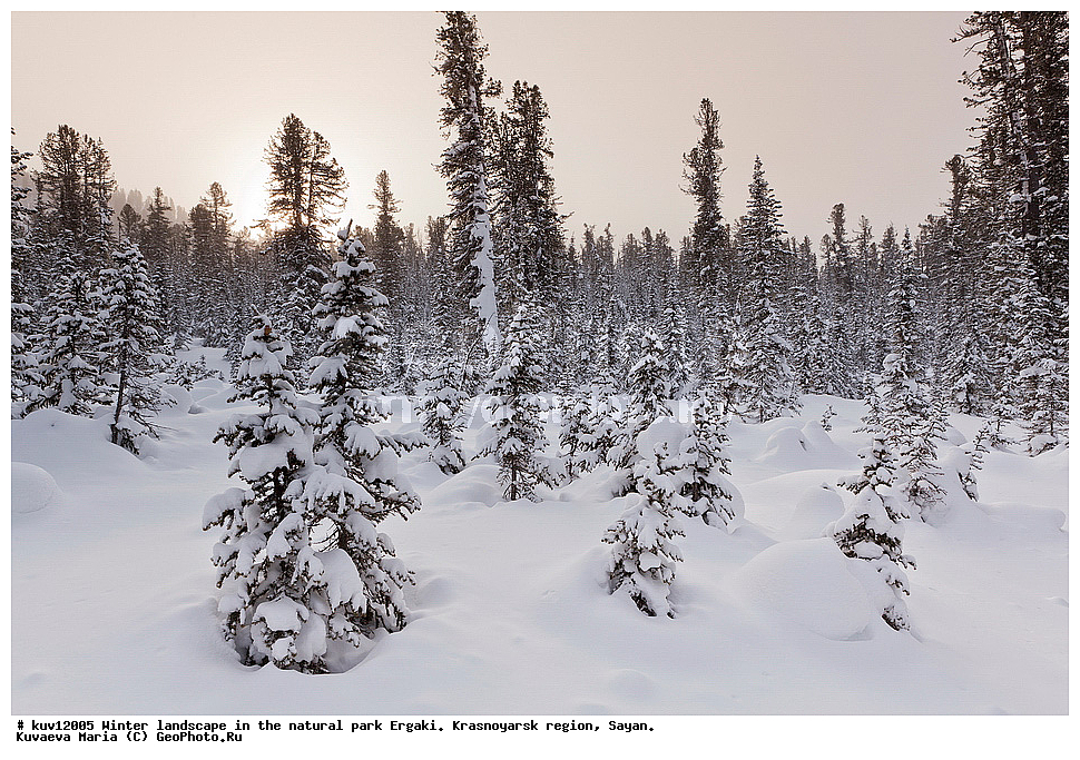  ������, ������������ ����, �����, ��������� ����, ������, ���, �����, ������, �������, �������� �����, �����, ����, �������, �������, ����, ������, ��������� ����������� �����, ���