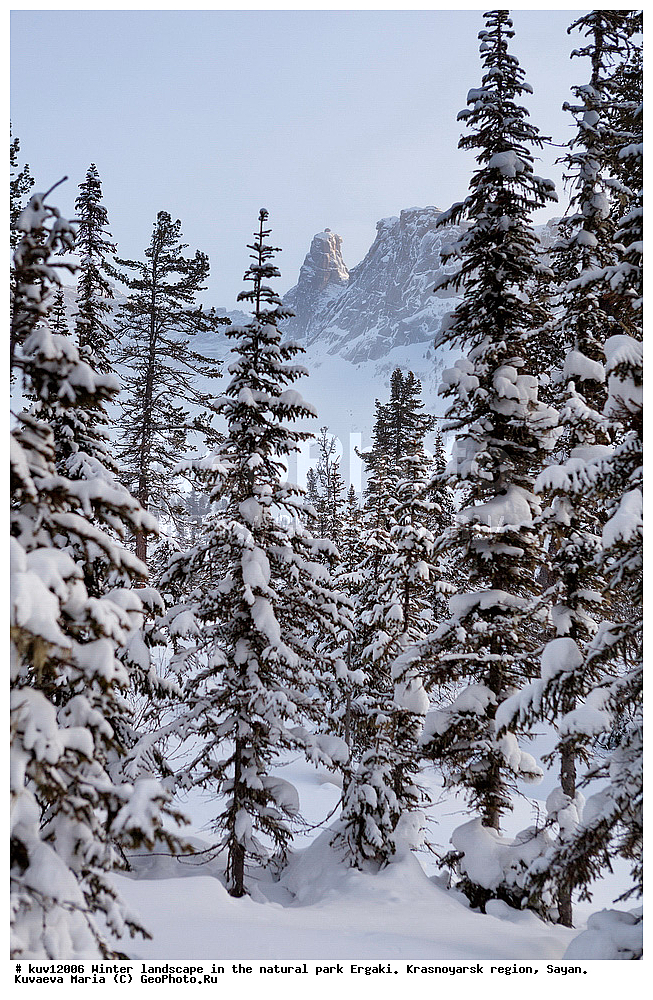  ������, ������������ ����, �����, ��������� ����, ������, ����, �������, ������ ����, �����, �������� �����, �������� �����, ������, ����, �������, ���� , ��������� ����������� �����, ���