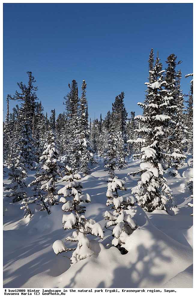  ������, ������������ ����, �����, ��������� ����, ������, ���, �����, ����, �������, ������, �����, ��������, �������, ����, ��������� ����������� �����, ���