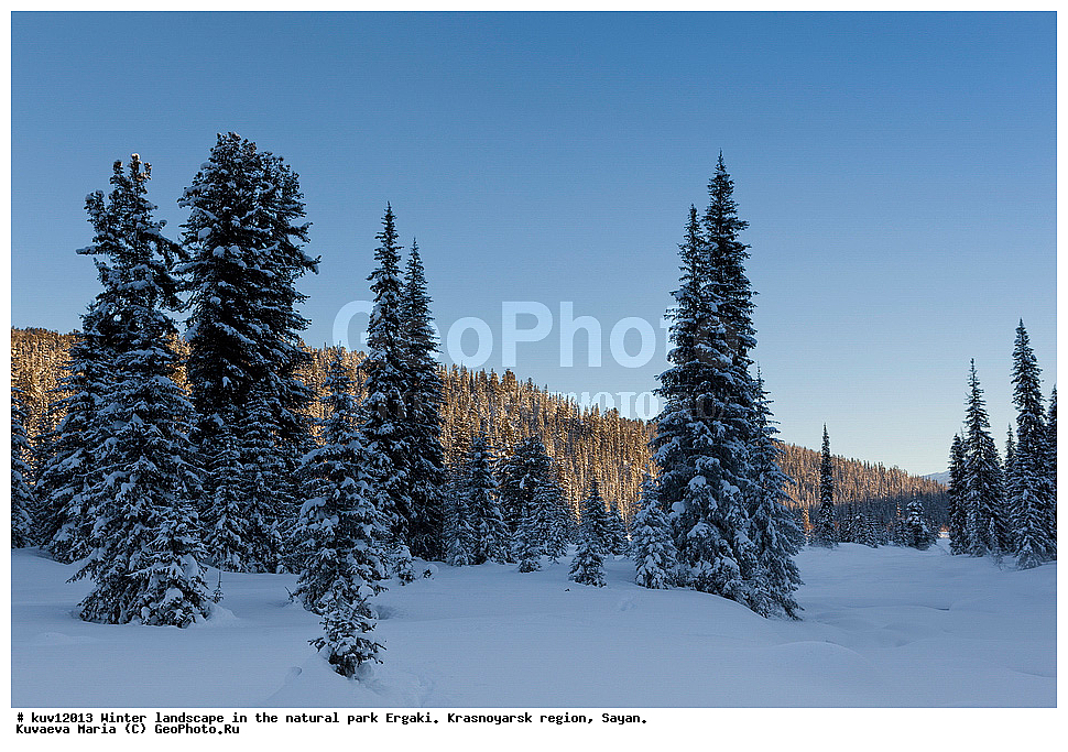  ������, ������������ ����, �����, ��������� ����, ������, ���� �����, �����, �����, �����, ����, �������, ���, ������, ������, ��������, �������, ����, ��������� ����������� �����, ���