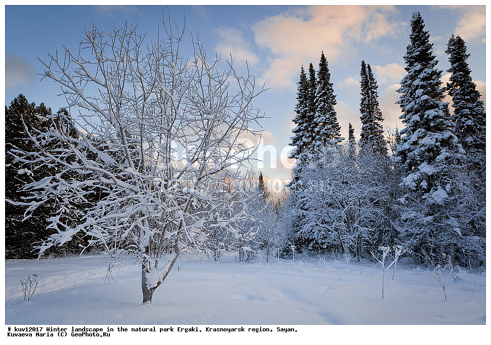  ������, ������������ ����, �����, ����, �������, ���, �����, �����, �����, ������, ����, �������, �������, ������, ������ ����, �������, ��������� ����������� �����, ���