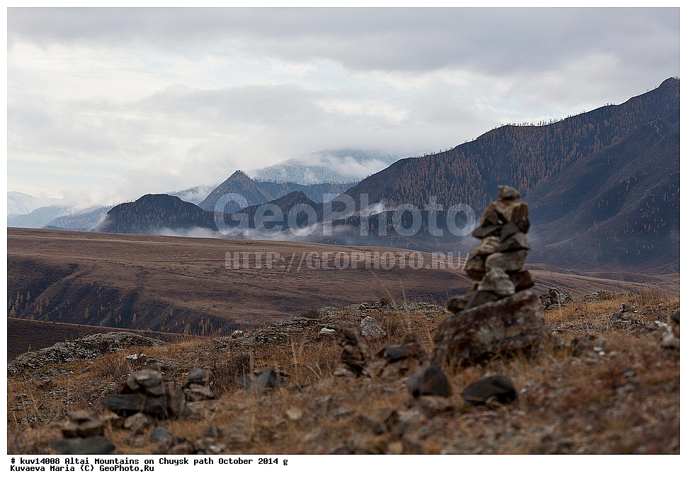 ������� �����, �������, ������ �����, �����, ������, �����, ������, �����, ����, �������, �����������, ������� ����, ������, �����, �����, �������, �������, ��������� ����������� �����, ���