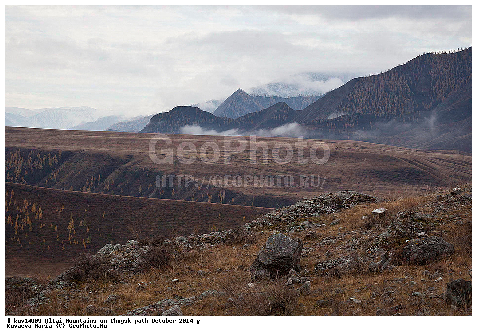 ������� �����, �������, ������ �����, �����, ������, �����, ������, �����, ����, �������, �����������, ������� ����, ������, �����, �����, �������, �������, ��������� ����������� �����, ���