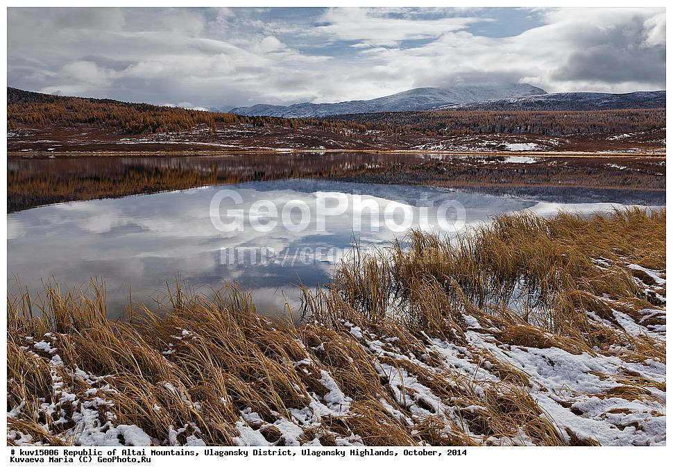 �����, ���������� �����, ���������� �������, ������� ����, ������ �����, �������, �������, �������, �����, ������, ���������� �����, ������, ��������� ����������� �����, ���