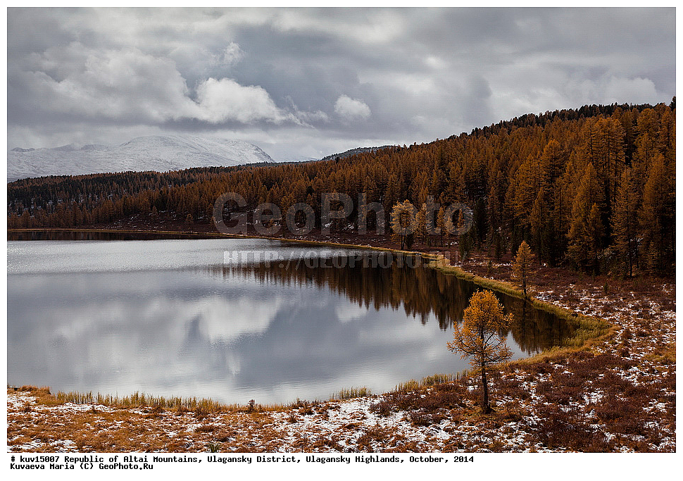 �����, ����������, ���������� �������, ������� ����, ������ �����, �������, �������, �������, �����, ������, �����, ���������� �����, ��������, ���������, �����, ��������� ����������� �����, ���