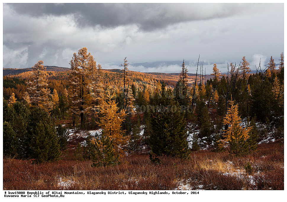 �����, ���������� �������, ���������� �������, ������� ����, ������ �����, �������, �������, �������, �����, ������, �������, �����, ���������� �����, ��������, ���������, ����, ��������� ����������� �����, ���