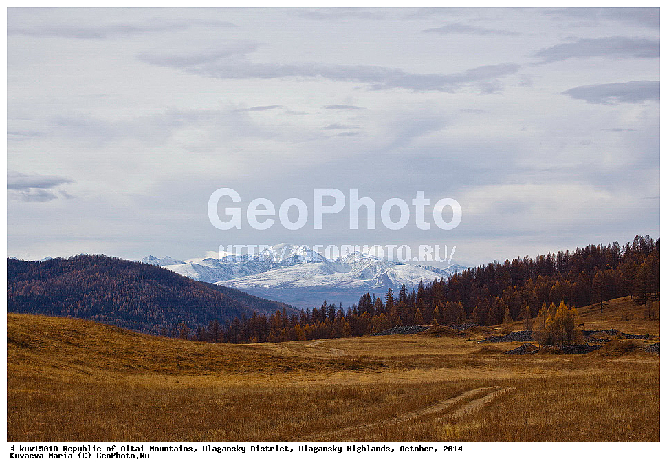 �����, ����������, ���������� �������, ������� ����, ������ �����, �������, �������, �������, �����, ������, �����, ���������� �����, ��������� ����������� �����, ���