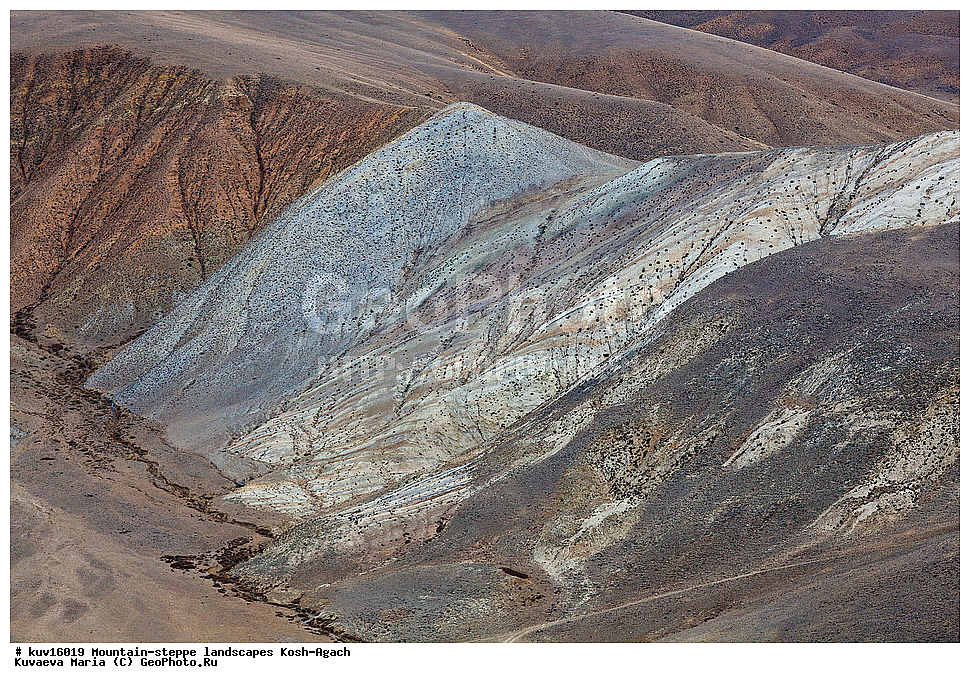 ���-����, ���-�������� �����, �����, �������, �������, �����, ����, ������ �����, �����������, ������, ������� �����, ��������� �������, ����, �����, ��������� ������, ��������� ����������� �����, ���