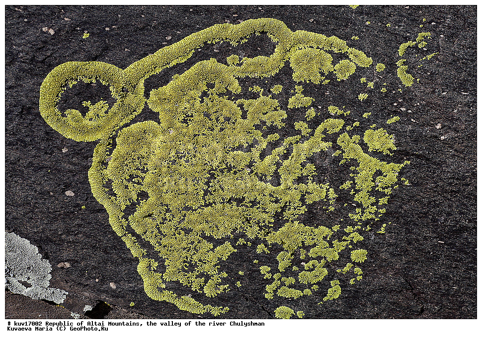 ������ �����, ������, ��������, �������, �����, �����, �����, ������, ������� ����, �������, ��������, �������-������, ��������� ����������� �����, ���