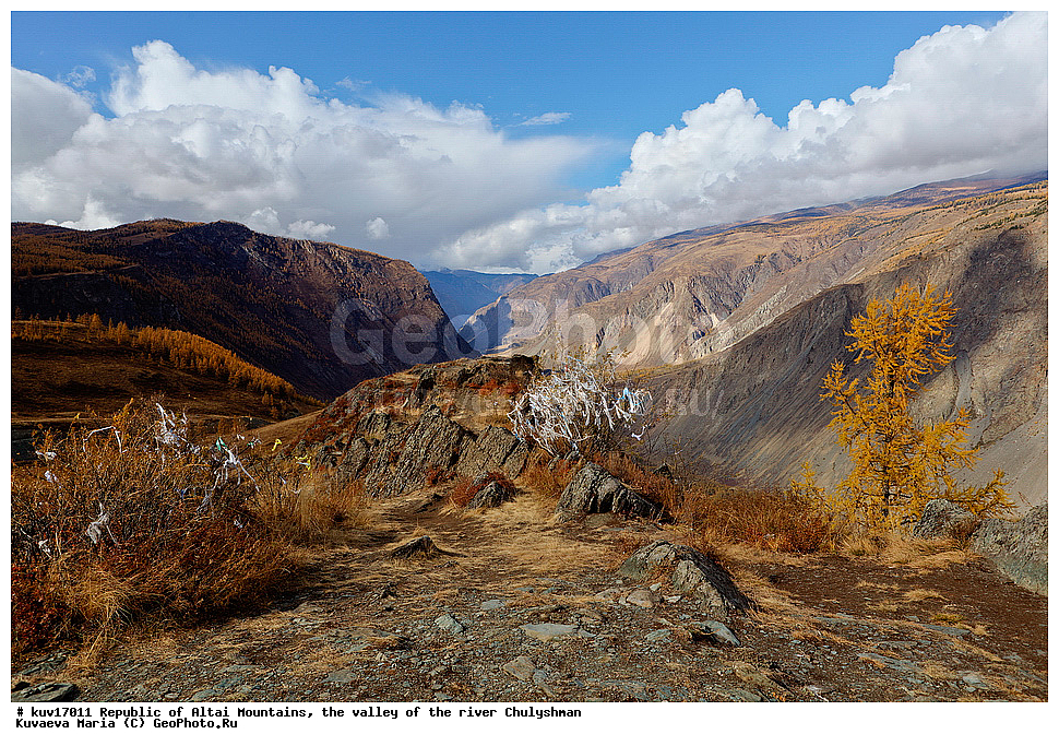 ������ �����, ������, ��������, �������, ����, �����, �����, �����, ������, ������� ����, �������, ������, ������� ����-����, �������, �����������, ������, ��������� ����������� �����, ���