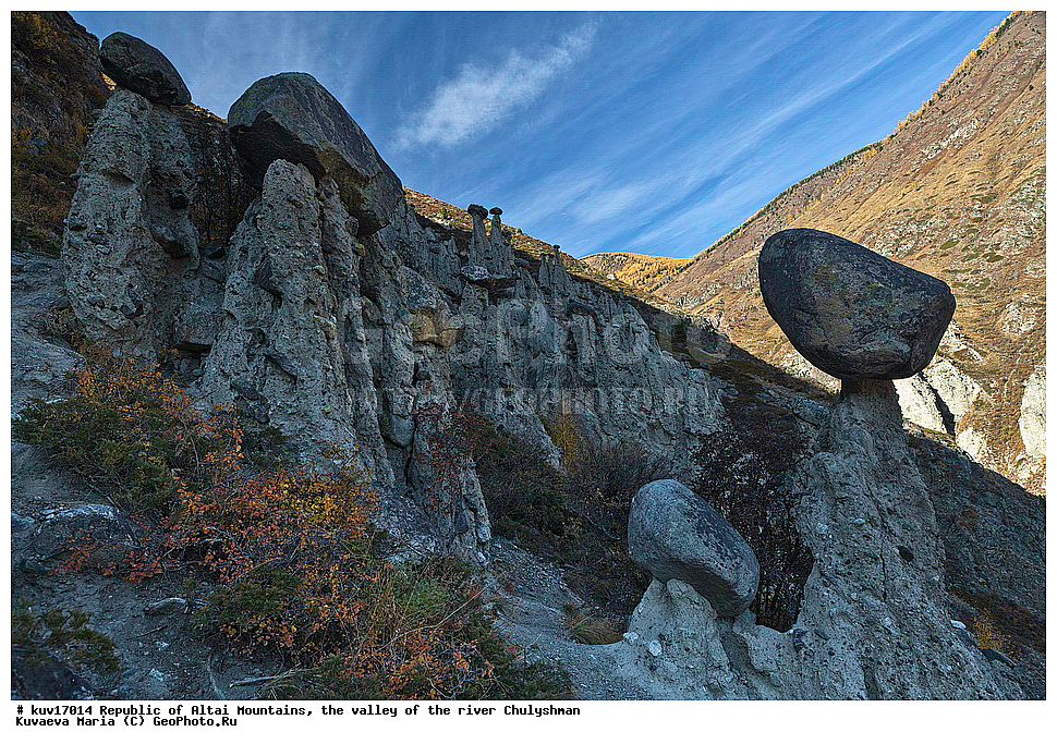 ������ �����, ������, ��������, �������, ����, �����, �����, ������, ������� ����, �������, �������� �����, ������� ��-�����, ��������� ����������� �����, ���