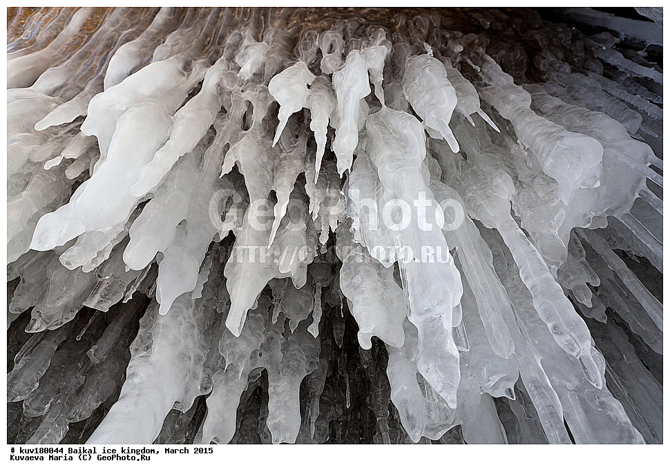 ������, �����, ���, ����, �������, ����� ������, ��������� ���������, �������, �����������, �����, ����, ����, ���, ������, ������� ����, �����, ������� ��������, ��������, ����, ������������ �����, ������, ���������� ����������, ������������� ������������ ���� , ��������� ����������� �����, ���