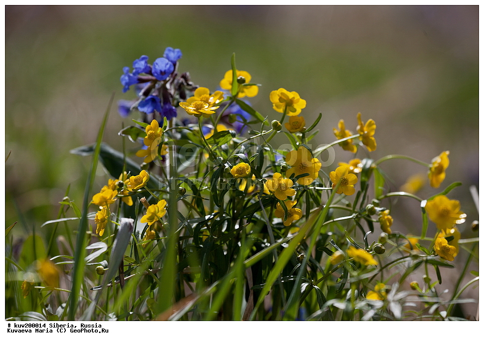 �����, ������, �������� ��������, ��������, ������� �����, ������, ��������, �����, ������ �����, �����, ���, �����, ������, ������� ����, ��������� ������, �����, ������ �����, ���, ��������� ����������� �����, ���