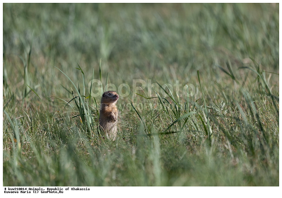 �������, ��������, ���������� ���������, �����, ����, ������, ������� ����, �����, ������, ������, ������� �����, ����� �������, ���� , ��������� ����������� �����, ���