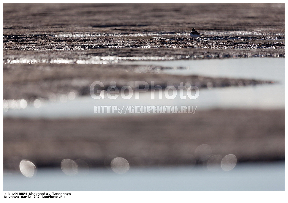 �������, ���������� ���������, ������� ����� ���, �����, ������, ������� ����, ����, ����, ���������, ��������, ������������, ������������ ������, ����, ������ �����, �����, �����, �����, �����, ��������� ����, ��������� ����������� �����, ���