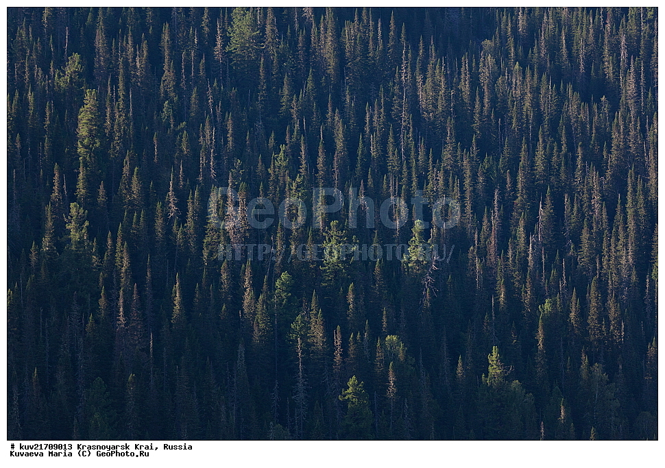 ������, �����, ����, �������� ����, ������������ ����, ������, ����������� �����, ��������� �����, ������ ������, ����, ����, �����, �������, ������� ������, ��������� �������, ������ ������, ����, ����� � ����, �����, ���, �������, ������ �����, �������, �������� �������