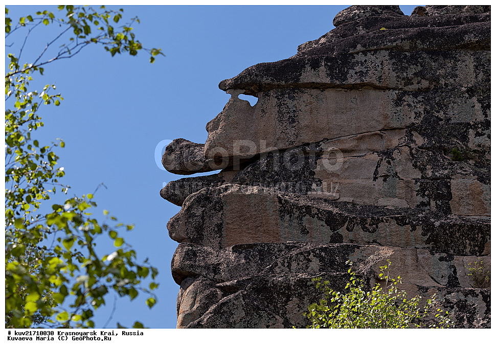 ������ ������, ������������ ���������, ��������� ����, ��������� �����, ������, �����, ����, �������� ����, ������������ ����, ������, ������� ������, �������, ������, �����������, ���������, ������������ ������, ������������ �����, �����, ����, ����