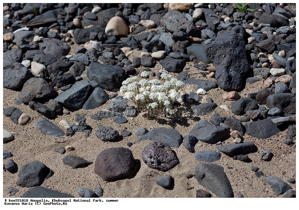 ��������, �������������, ������������ ����, ����, ����, �������� �������������, �����, ����� ����, �����, �������� ����, �����, ������, �����, �����, �������� ��������, �����, ������� ����� , �������� ����