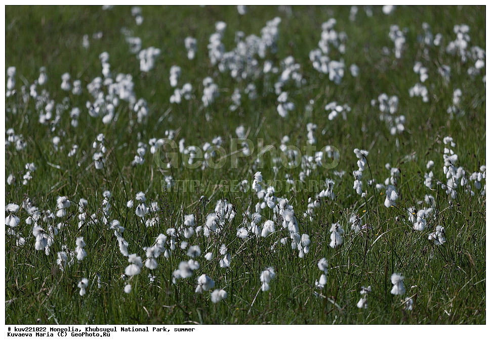 ��������, �������������, ������������ ����, ����, ����, �������� �������������, ���������� ����, ���������� ��������������, ���������� �����, ����� �������, �������� �������� , �������� ����