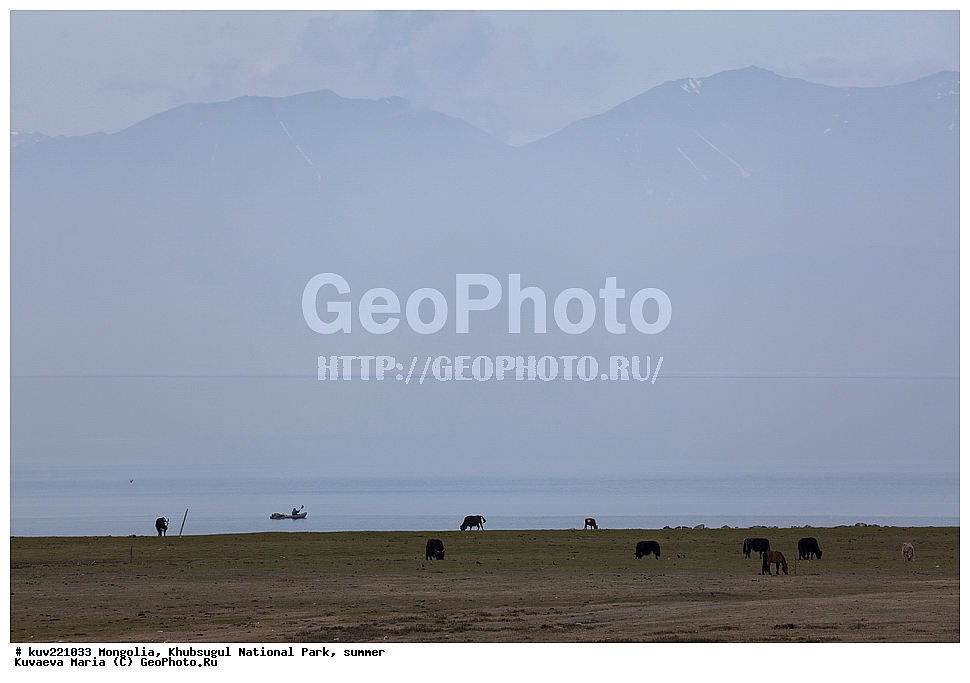 ��������, �������������, ������������ ����, ����, ����, �������� �������������, ����, �����, ����, �������, �������, ��������, �����, �����, ����� ��������, ����, �������� ��������, �����, ���, ��, �������, ������, ������, ����������� ������, ���������������� �����, ������� ������, �����, �����  , �������� ����, �ө���ө�