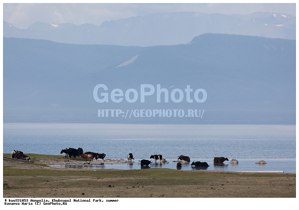 ��������, �������������, ������������ ����, ����, ����, �������� �������������, ����, �����, ����, �������, �������, ��������, �����, �����, ����� ��������, ����, �������� ��������, �����, ���, ��, �������, ������, �������, �������, ����������� ������, ���������������� �����, ������� ������  , �������� ����, �ө���ө�