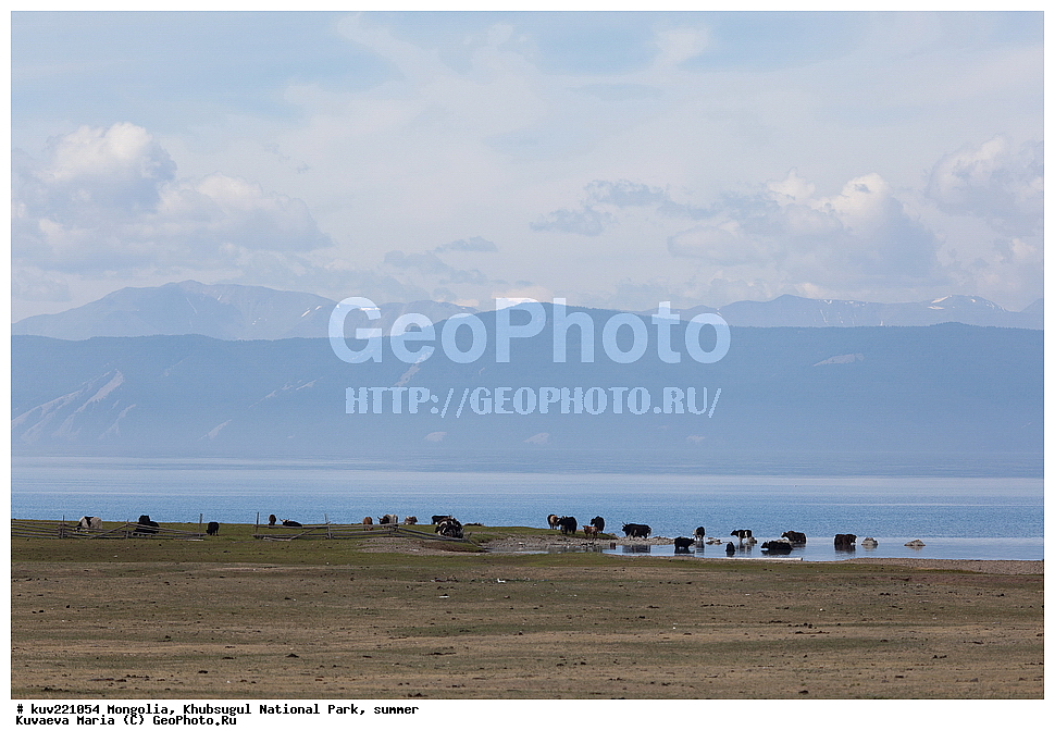 ��������, �������������, ������������ ����, ����, ����, �������� �������������, ����, �����, ����, �������, �������, ��������, �����, �����, ����� ��������, ����, �������� ��������, �����, ���, ��, �������, ������, �������, �������, ����������� ������, ���������������� �����, ������� ������  , �������� ����, �ө���ө�