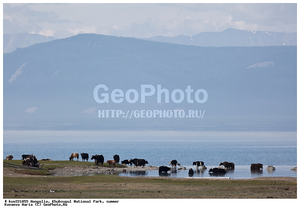 ��������, �������������, ������������ ����, ����, ����, �������� �������������, ����, �����, ����, �������, �������, ��������, �����, �����, ����� ��������, ����, �������� ��������, �����, ���, ��, �������, ������, �������, �������, ����������� ������, ���������������� �����, ������� ������  , �������� ����, �ө���ө�