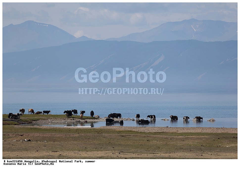 ��������, �������������, ������������ ����, ����, ����, �������� �������������, ����, �����, ����, �������, �������, ��������, �����, �����, ����� ��������, ����, �������� ��������, �����, ���, ��, �������, ������, �������, �������, ����������� ������, ���������������� �����, ������� ������  , �������� ����, �ө���ө�